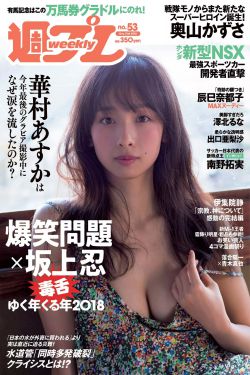 我本风流
